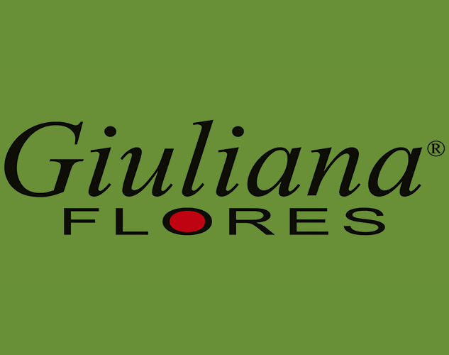 Giuliana Flores aumentou o engajamento