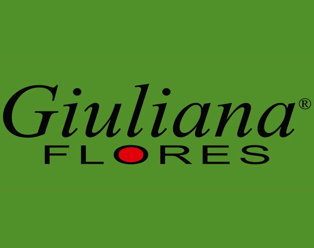 Giuliana Flores aumentou o engajamento